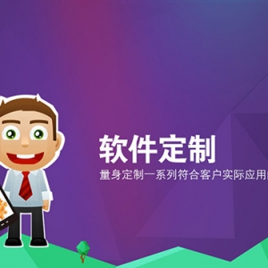 軟件定制